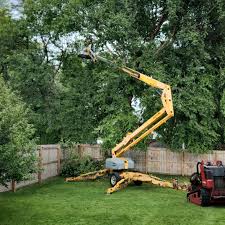 Best Tree Preservation Services  in Rogersville, MO