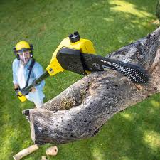 Reliable Rogersville, MO  Tree Services Solutions