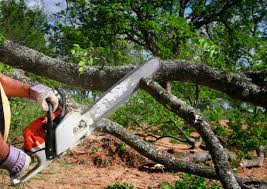 Landscape Design and Installation in Rogersville, MO